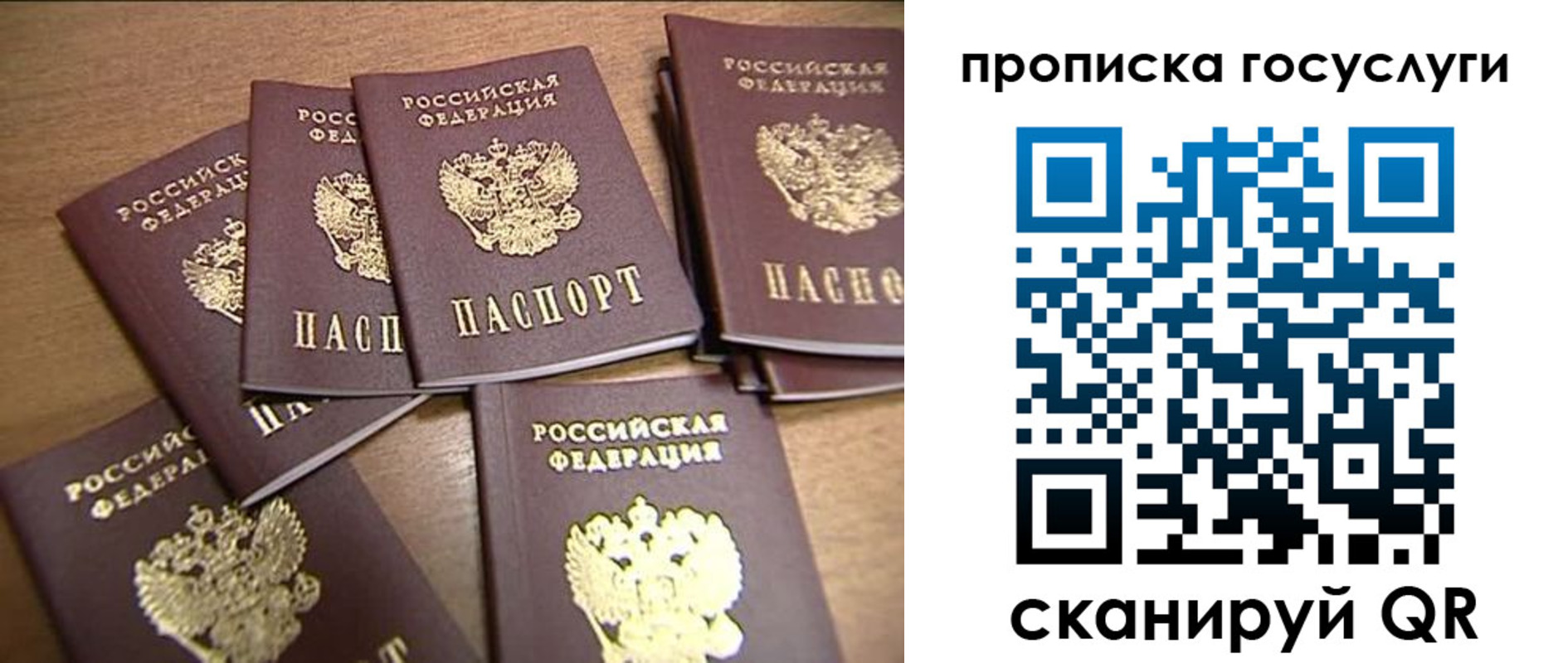 прописка для работы в Боготоле